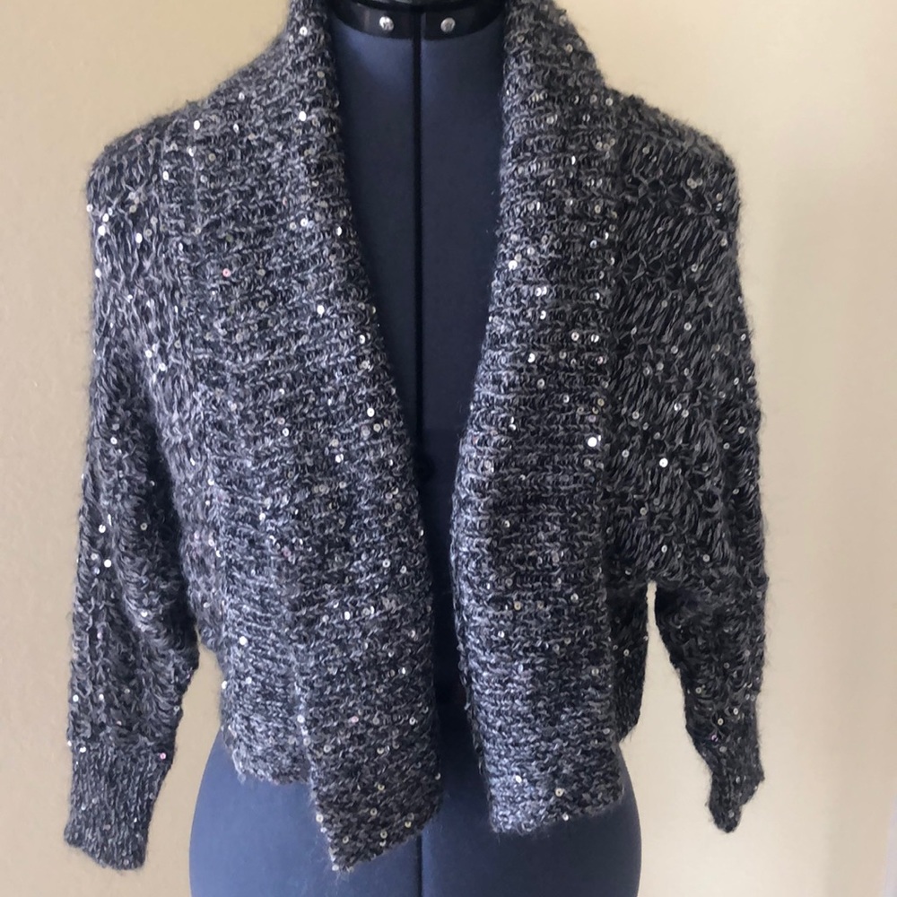 Express crop sequined sweater
